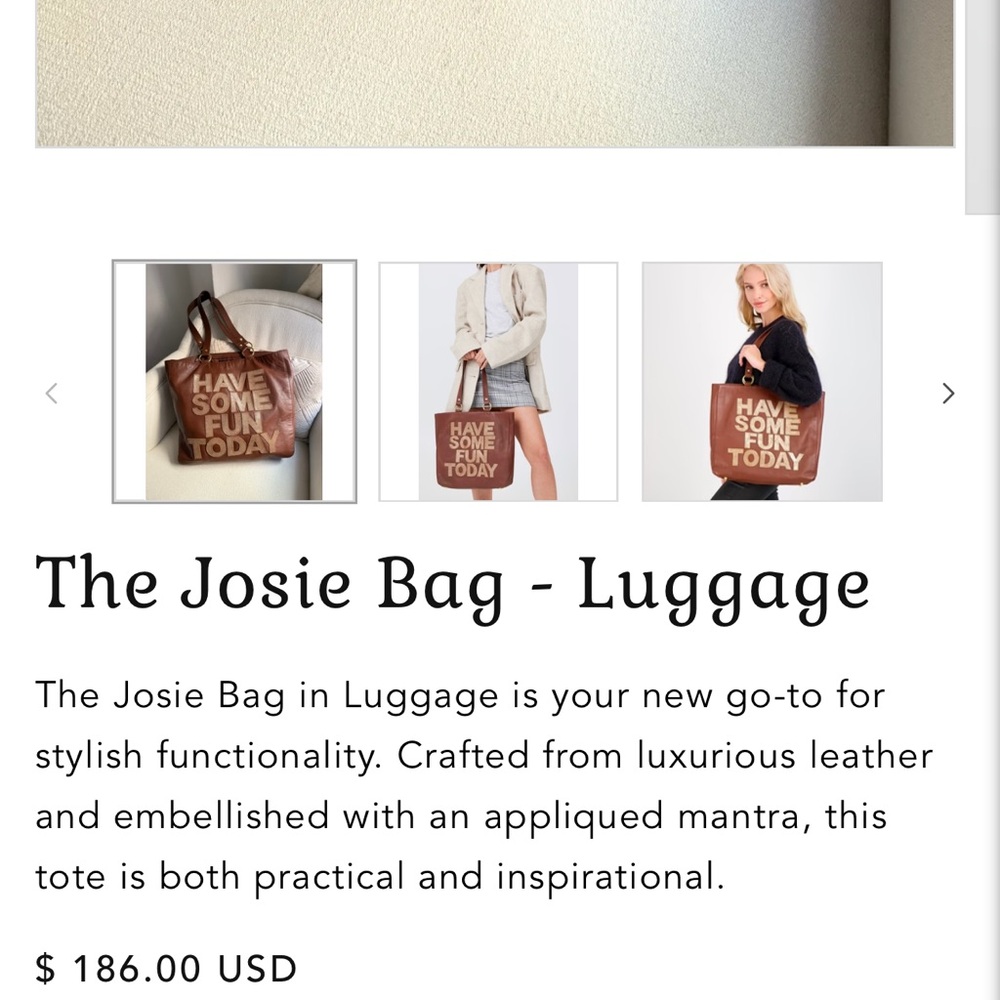 Have Some Fun Today Brown Josie Tote Bag - Picture 9 of 12